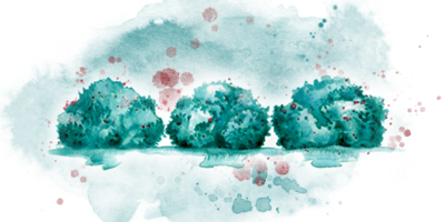 Watercolour Illustration