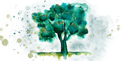 Watercolour Illustration