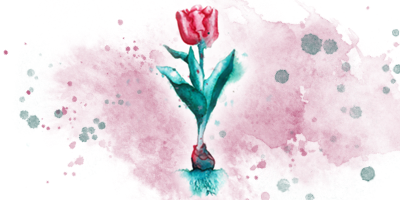 Watercolour Illustration