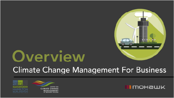 Video collection preview showing multiple video projects